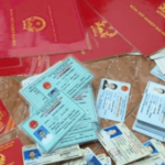 Profile picture of 49119264