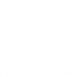 Profile picture of 49135835