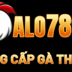 Profile picture of 49165494