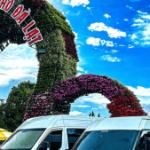 Profile picture of 49168319