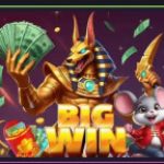 Profile picture of 49182717