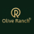 Profile picture of https://www.olive-ranch.com/