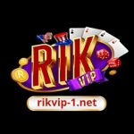 Profile picture of 49191073