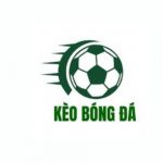 Profile picture of 49218748