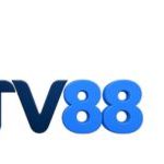 Profile picture of TV88 nền tảng giải trí trực tuyến hiện đại với kho game đa dạng, bảo mật cao, giao dịch nhanh và hỗ trợ 24/7. Truy cập dễ dàng trên mọi thiết bị. Website: https://tv88.bz/