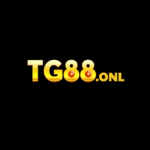 Profile picture of 49291370