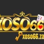 Profile picture of 49312044