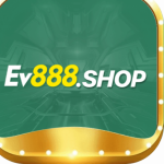 Profile picture of 49329845