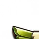 Profile picture of 49332268