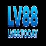 Profile picture of 49369392