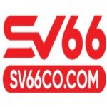 Profile picture of 49376226