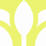 Profile picture of 49384737