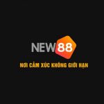 Profile picture of https://new88.solar/ cung cấp nền tảng an toàn, bảo mật cao, hỗ trợ nạp rút nhanh chóng. Người chơi có thể truy cập mọi lúc, mọi nơi từ điện thoại, máy tính bảng hoặc PC. Hệ thống chăm sóc khách hàng luôn sẵn sàng hỗ trợ 24/7.