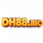Profile picture of DH88