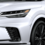 Profile picture of 49425463