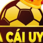 Profile picture of 49441788