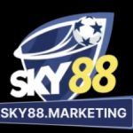 Profile picture of 49450485