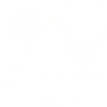 Profile picture of 49452128