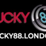 Profile picture of 49462752