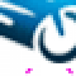 Profile picture of Dịch vụ cho thuê xe máy tại Nha Trang tiện lợi và phù hợp cho du khách