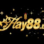 Profile picture of 49471052