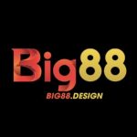 Profile picture of 49474062