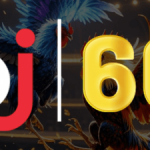 Profile picture of 49483713