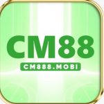 Profile picture of 49516374