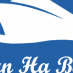 Profile picture of 49530608