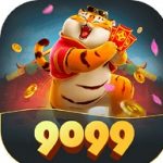 Profile picture of 49538313