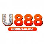 Profile picture of 49541894