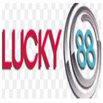 Profile picture of 49552846