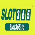 Profile picture of 49559271