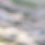 Profile picture of 49628584