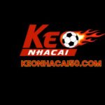 Profile picture of 49689002