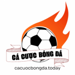 Profile picture of 49699765