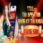 Profile picture of 49711603