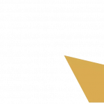 Profile picture of 49733158