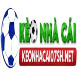 Profile picture of 49745556