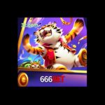 Profile picture of 49758571