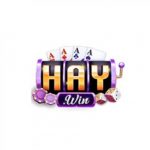 Profile picture of 49762476