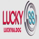 Profile picture of 49762856