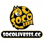 Profile picture of 49764929