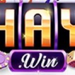 Profile picture of 49770382