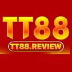 Profile picture of 49771162