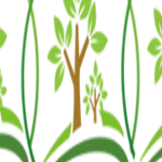 Profile picture of 49778743