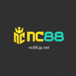 Profile picture of 49816415