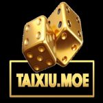 Profile picture of 49819282