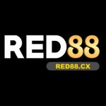 Profile picture of 49819698