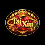 Profile picture of 49827613